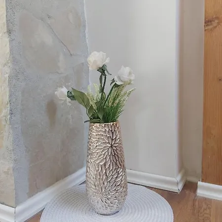 Apartment Harisson Mostar